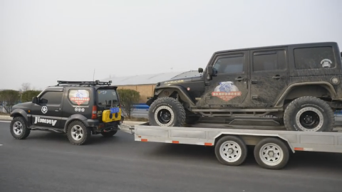 苏畅抓凤筋作品 苏畅其专业价值显著