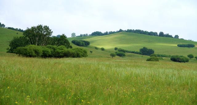 久久精品国产99国产精品