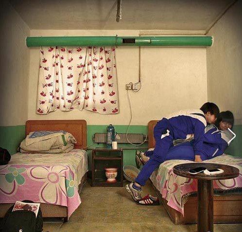 每日大赛今日 每日社区内容质量也有待加强